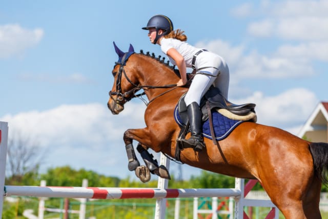 Equestrian jumping over a hurdle on a brown horse during a sunny day in an outdoor jumping competition.